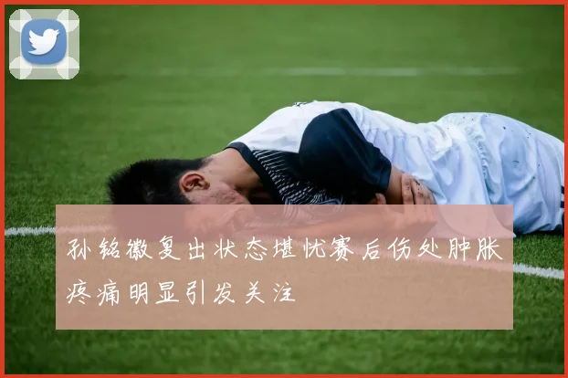 孙铭徽复出状态堪忧赛后伤处肿胀疼痛明显引发关注