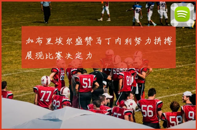 加布里埃尔盛赞马丁内利努力拼搏展现比赛决定力