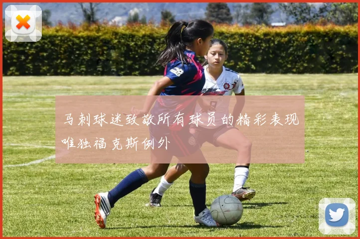 马刺球迷致敬所有球员的精彩表现唯独福克斯例外